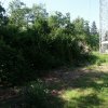 050623_lundebakke_043_20160502_1214288743